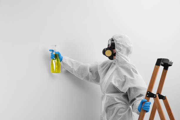 Best Comprehensive Air Testing for Mold Contaminants in Kelso, WA